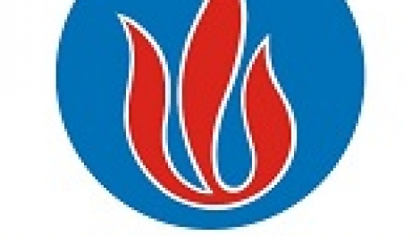 Cổ phiếu VTS của Công ty cổ phần Viglacera Từ Sơn bị đưa vào diện kiểm soát (14/2/2020)