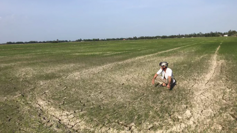 THỜI SỰ 12H TRƯA 7/2/2020: Đồng bằng sông Cửu Long đối mặt với tình trạng hạn mặn gắt hơn trung bình nhiều năm (7/2/2020)