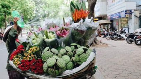 Lao động nghèo ngoại tỉnh lạc quan đi qua “bão” dịch (25/3/2020)