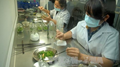 Thực hiện mô hình thí điểm hợp tác công tư về tiếp cận nguồn gen và chia sẻ lợi ích (4/3/2020)