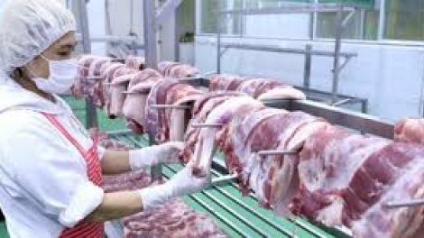 THỜI SỰ 18H CHIỀU 21/3/2020: Thủ tướng yêu cầu Bộ Nông nghiệp  và Phát triển nông thôn, Bộ Công thương kiên quyết giảm giá thịt lợn xuống mức dưới 60.000 đồng/kg.