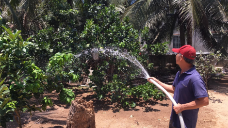 Chống hạn mặn ở miền Tây – Chủ động giải pháp bảo vệ vườn cây ăn trái (24/3/2020)