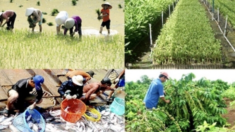 Nông nghiệp vẫn là trụ đỡ nền kinh tế thời dịch bệnh (17/3/2020)