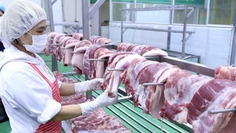 THỜI SỰ 18H CHIỀU 17/3/2020: Bộ Nông nghiệp và Phát triển nông thôn đề nghị doanh nghiệp giảm giá thịt lợn hơi xuống 70.000 đồng/kg.