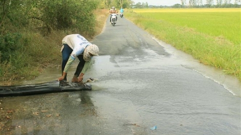 Chủ động ứng phó là điều kiện tiên quyết trước mối nguy hạn mặn (5/3/2020)