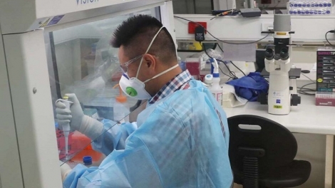 Australia: Các nhà khoa học sẽ thử nghiệm vaccine COVID-19 trên người vào giữa năm nay (14/3/2020)