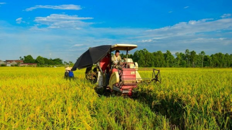 Lựa chọn hình thức tập trung, tích tụ đất đai phù hợp với thực tiễn (8/4/2020)