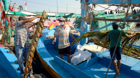 Bình Thuận: Giá xăng dầu giảm, ngư dân "ồ ạt" vươn khơi (5/4/2020)