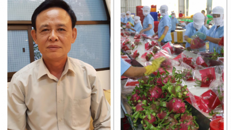 Sản xuất nông nghiệp tìm cơ hội phát triển trong bối cảnh dịch Covid-19 (23/4/2020)