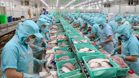 “Tình trạng “tắc” đầu ra ngành thủy sản và giải pháp tháo gỡ khó khăn, duy trì sản xuất (23/4/2020)