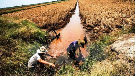 Nghiên cứu và ứng dụng khoa học kỹ thuật thích ứng với hạn mặn ở ĐBSCL (13/4/2020)