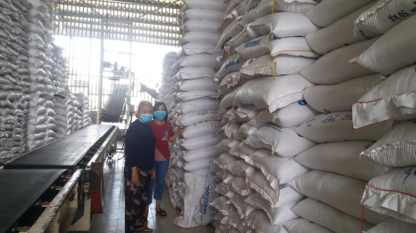 ĐBSCL : Xuất khẩu gạo trở lại bình thường, doanh nghiệp và nông dân phấn khởi (29/4/2020)