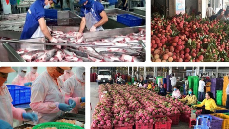 Xuất khẩu nông sản gặp khó giữa tâm dịch COVID-19 (13/4/2020)