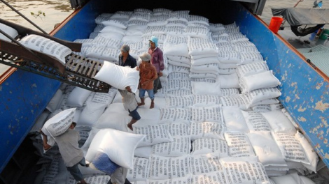 THỜI SỰ 18H CHIỀU 20/4/2020: Chính phủ yêu cầu thanh tra đột xuất công tác quản lý nhà nước về xuất khẩu gạo