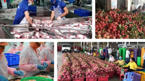 Đẩy mạnh tiêu thụ nông sản trực tuyến- Giải pháp tốt góp phần tiêu thụ nông sản trong thời điểm hiện nay (21/4/2020)
