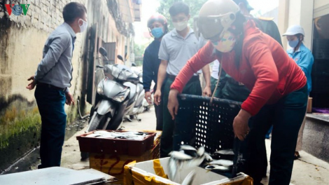 Ngư dân chung tay phòng dịch (6/4/2020)