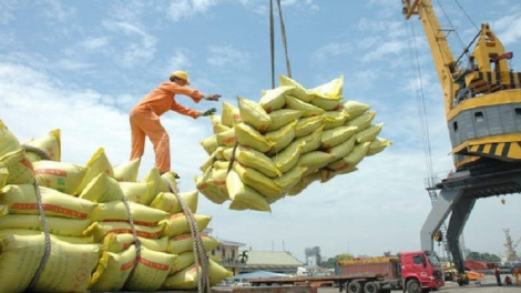 Nguyên nhân gây bất cập trong điều hành xuất khẩu gạo dưới góc nhìn chuyên gia kinh tế (18/4/2020)