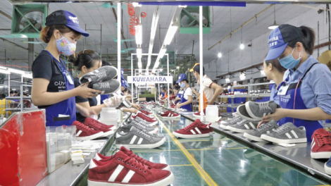 Việt Nam cần làm gì để tận dụng cơ hội vàng từ Hiệp định EVFTA (22/5/2020)