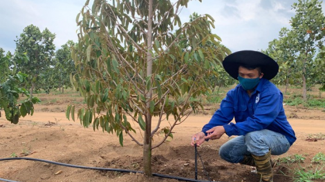 Tây Nguyên đối mặt với khô hạn: Giải pháp nào cho 2 triệu ha cây trồng - Bài 4: "Giải bài toán ứng phó khô hạn cho 2 triệu ha cây trồng" (7/5/2020)