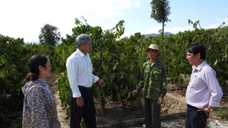 Kon Tum: Vì lợi ích chung người dân hiến hơn 20.000m2 đất làm cầu (24/5/2020)
