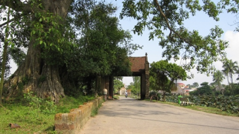 Neo giữ những miền quê (23/5/2020)