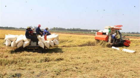 Khôi phục sản xuất nông nghiệp – trụ đỡ cho kinh tế đất nước (21/5/2020)