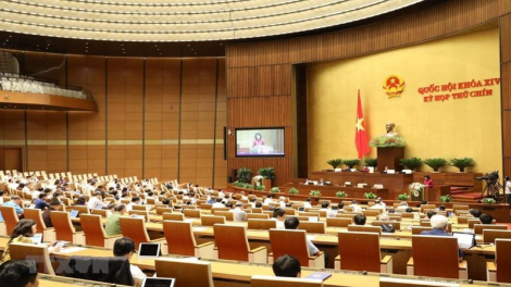 THỜI SỰ 6H SÁNG 21/5/2020: Quốc hội thảo luận dự án Luật Giám định tư pháp và Dự án Luật Doanh nghiệp (Sửa đổi)