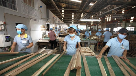 THỜI SỰ 21H30 ĐÊM 16/5/2020: Ngành nông nghiệp khôi phục chế biến, xuất khẩu gỗ và lâm sản hậu COVID--19