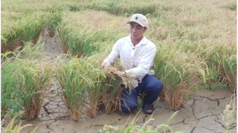 Lời giải cho “cơn khát” nước sinh hoạt trong mùa khô tại Trung Bộ và Tây Nguyên (8/5/2020)