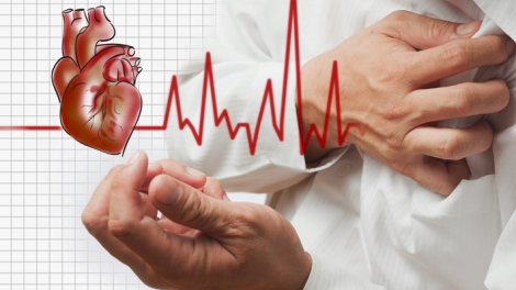 Tác dụng của đông trùng hạ thảo đối với người bị bệnh tim mạch và huyết áp (21/5/2020)