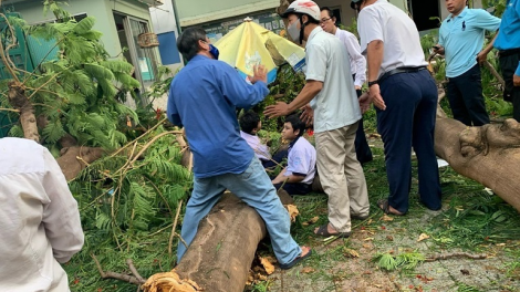 THỜI SỰ 18H CHIỀU 26/5/2020: Sau tai nạn cây đổ tại trường học ở T.PHCM làm 1 học sinh thiệt mạng và 12 em bị thương, Bộ trưởng Bộ Giáo dục và đào tạo yêu cầu tăng cường công tác đảm bảo an toàn trường học