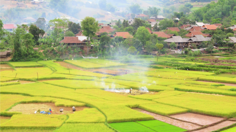 Chuyện những lá đơn xin thoát nghèo ở Nậm Pồ (28/5/2020)