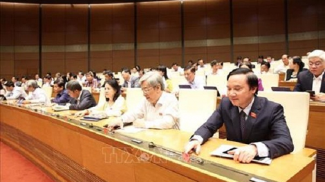 Sửa đổi Luật Tổ chức Quốc hội để tăng chất lượng hoạt động của đại biểu Quốc hội (15/5/2020)