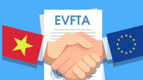EVFTA: triển vọng thu hút đầu tư (23/06/2020)