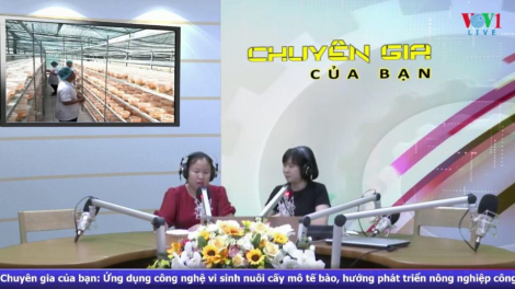 Ứng dụng công nghệ vi sinh nuôi cấy mô tế bào – hướng phát triển nông nghiệp công nghệ 4.0 (2/6/2020)