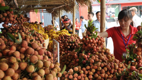 Vải thiều và bài học tìm đầu ra cho nông sản (9/6/2020)