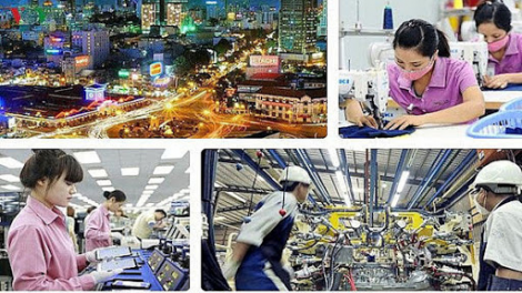 THỜI SỰ 6H SÁNG 5/6/2020: Thủ tướng Chính phủ quyết định Thành lập Ban Chỉ đạo Tổng điều tra kinh tế Trung ương năm 2021