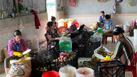 Agribank Đắk Nông: Hỗ trợ doanh nghiệp và hộ sản xuất vượt khó sau dịch Covid-19 (5/6/2020)