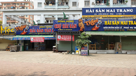 Mở cửa nền kinh tế cần cẩn trọng tránh phải trả giá đắt vì Covid-19 (16/6/2020)