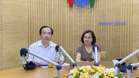 Công nhân khó tiếp cận gói hỗ trợ 62.000 tỷ đồng: Nguyên nhân do đâu? (11/6/2020)