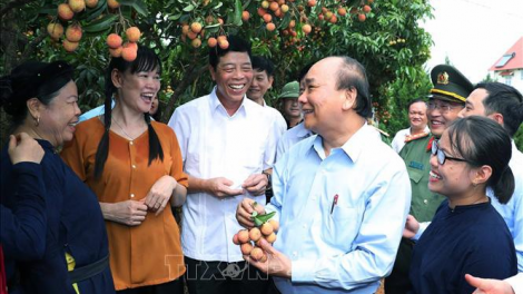 THỜI SỰ 12H TRƯA 6/6/2020: Thủ tướng Nguyễn Xuân Phúc dự các sự kiện trong khuôn khổ Hội nghị xúc tiến vải thiều năm 2020 của tỉnh Bắc Giang