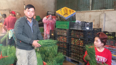 Tổ hợp tác thanh niên giúp nhau phát triển kinh tế (12/6/2020)