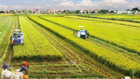THỜI SỰ 18H CHIỀU 10/6/2020: Quốc hội đồng ý kéo dài thời gian miễn thuế đất nông nghiệp thêm 5 năm, tới năm 2025