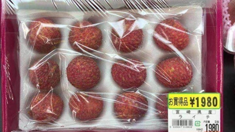 Lô vải thiều đầu tiên của Bắc Giang xuất khẩu sang Nhật Bản (19/6/2020)