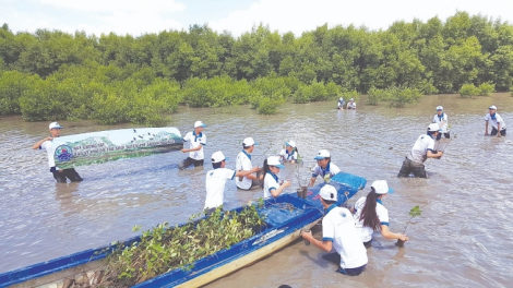 Đề xuất giải pháp thúc đẩy thực hiện chiến lược quốc gia về biến đổi khí hậu giai đoạn 2021-2030 (15/7/2020)