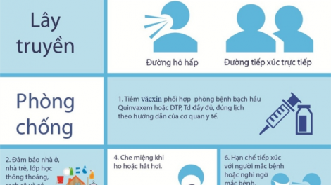 Nhận diện bệnh bạch hầu và giải pháp khống chế sự lây lan của bệnh bạch hầu ra cộng đồng (26/07/2020)