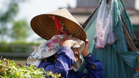 Nắng nóng tiếp tục đảo lộn đời sống, sản xuất người dân các tỉnh Bắc Trung bộ (16/7/2020)