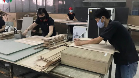 Gói hỗ trợ 62.000 tỉ đồng: Chậm chi trả cho người lao động tự do, vì thủ tục quá rườm rà (20/7/2020)