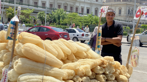 Ai Cập: cuộc sống mưu sinh trong mùa dịch COVID-19 (1/7/2020)