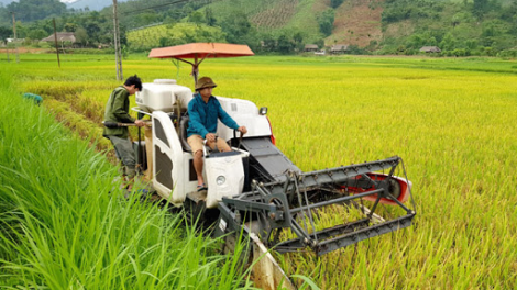 Ứng dụng khoa học kỹ thuật: Những mô hình giảm nghèo (2/7/2020)